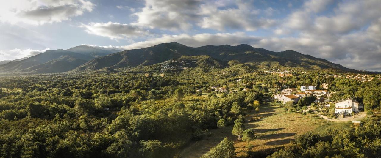 Domaine Pedra Llampada Gite Cerise Villelongue-dels-Monts Eksteriør bilde